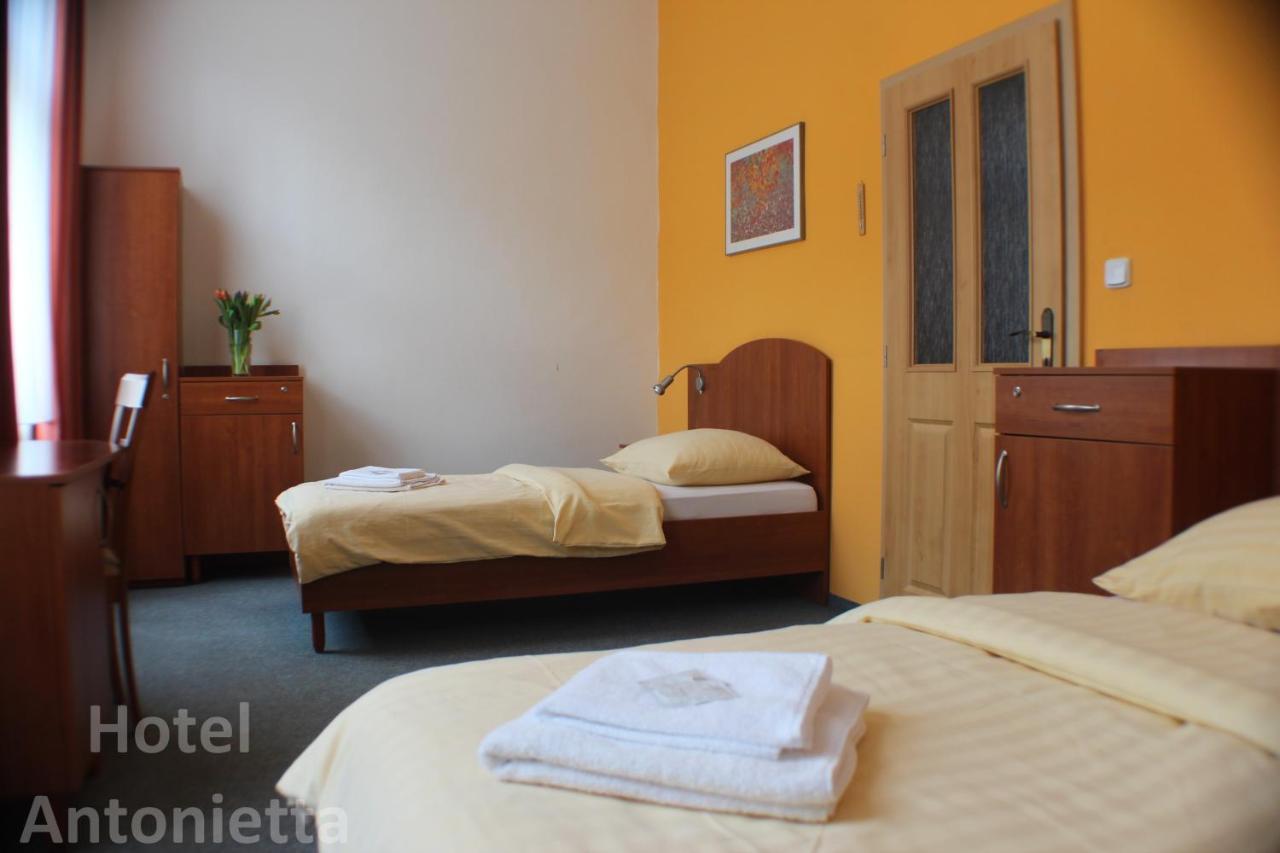 Hotel Antonietta Теплице Стая снимка