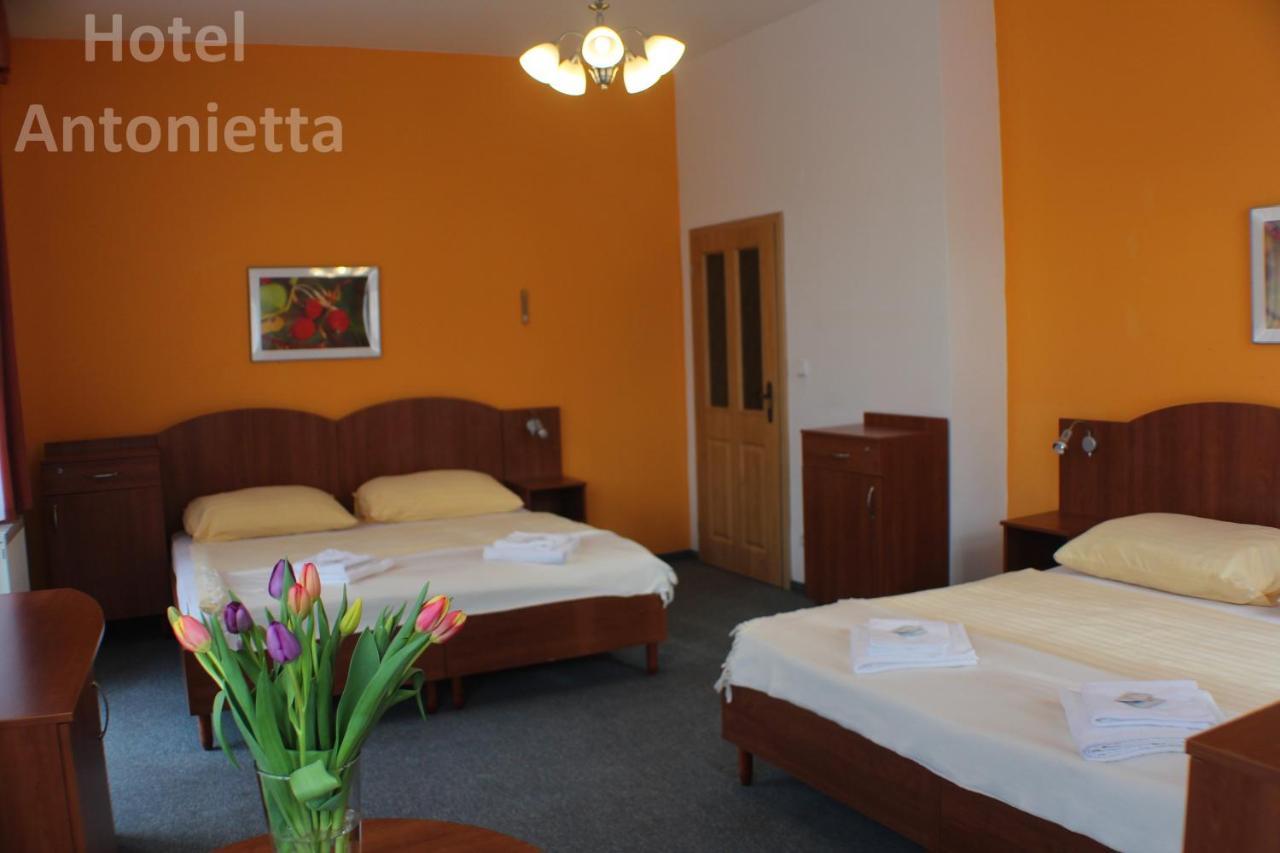 Hotel Antonietta Теплице Екстериор снимка
