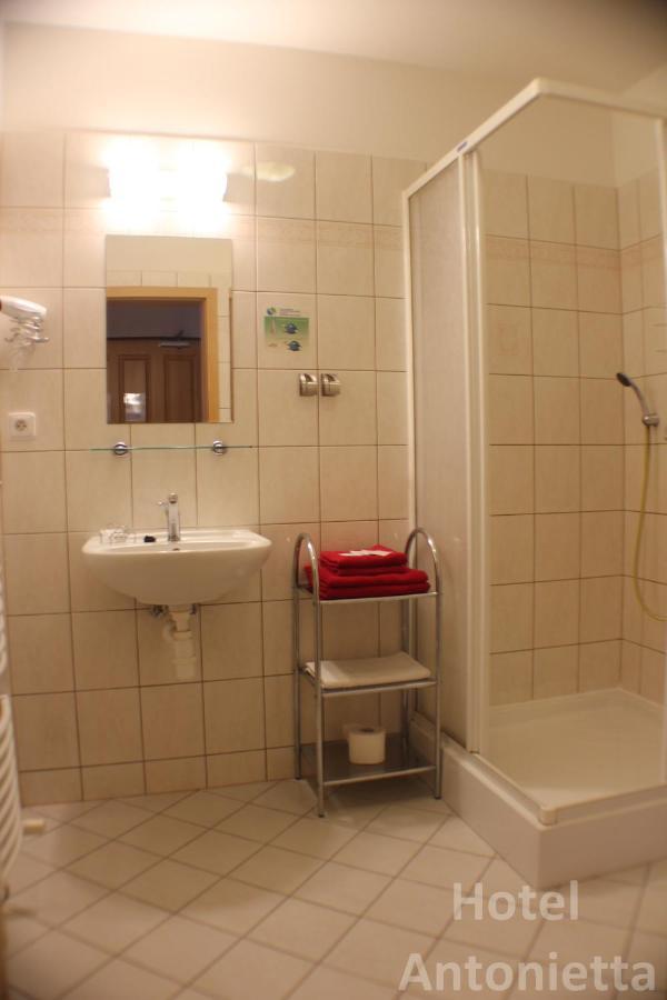 Hotel Antonietta Теплице Стая снимка