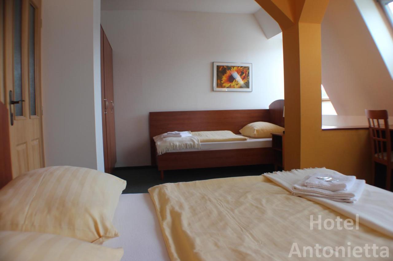 Hotel Antonietta Теплице Стая снимка